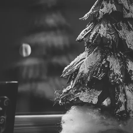 Aschenwald Elisabeth Daire *