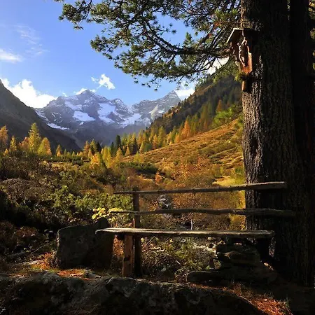 Aschenwald Elisabeth *