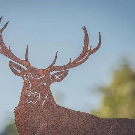 Aschenwald Elisabeth *