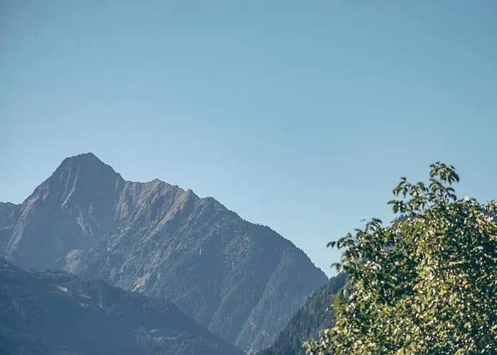 Appartement Aschenwald Elisabeth Ramsau im Zillertal