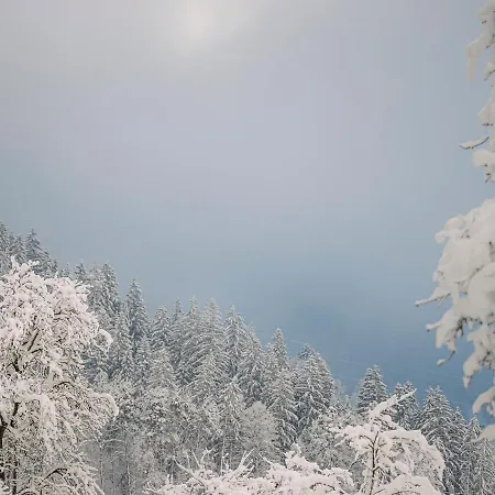 Aschenwald Elisabeth דירה *