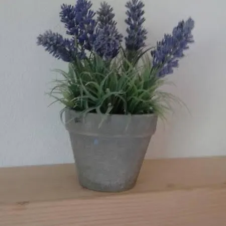 דירה Aschenwald Elisabeth רמסאו אים זילרטל