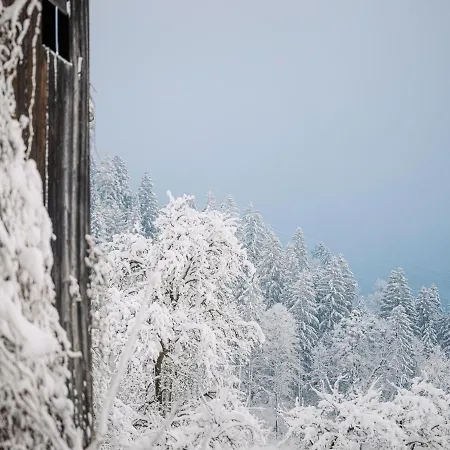 Appartement Aschenwald Elisabeth *