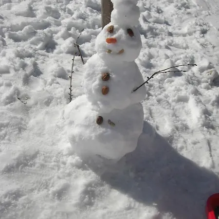 Appartement Aschenwald Elisabeth *