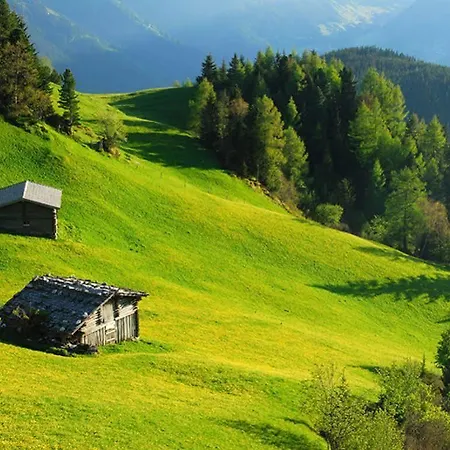 Aschenwald Elisabeth *