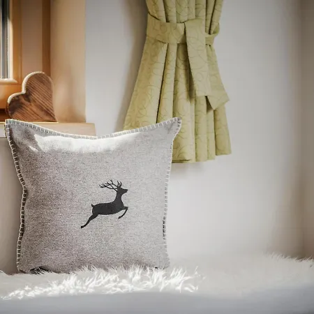 Appartement Aschenwald Elisabeth Ramsau im Zillertal